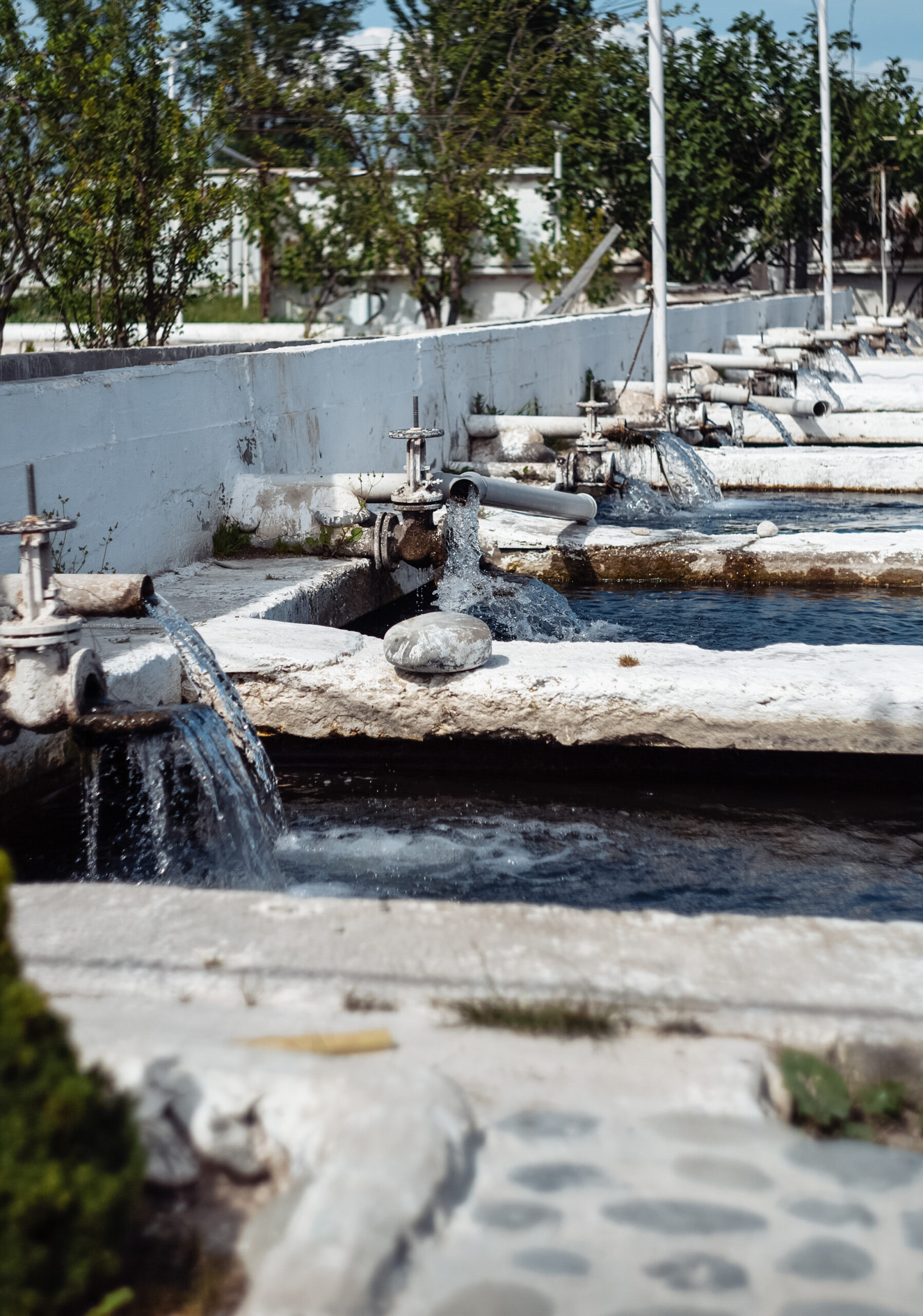 https://acueductoversalles.com/wp-content/uploads/2025/09/fish-farm-on-a-sunny-day-2024-12-02-14-50-17-utc-scaled.jpg